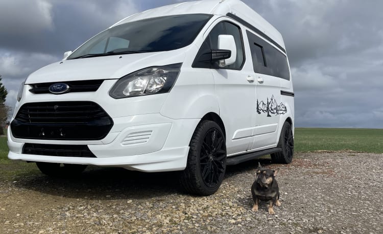 Penelope's Tourer II – Ford Campervan mit 2 Schlafplätzen aus dem Jahr 2015