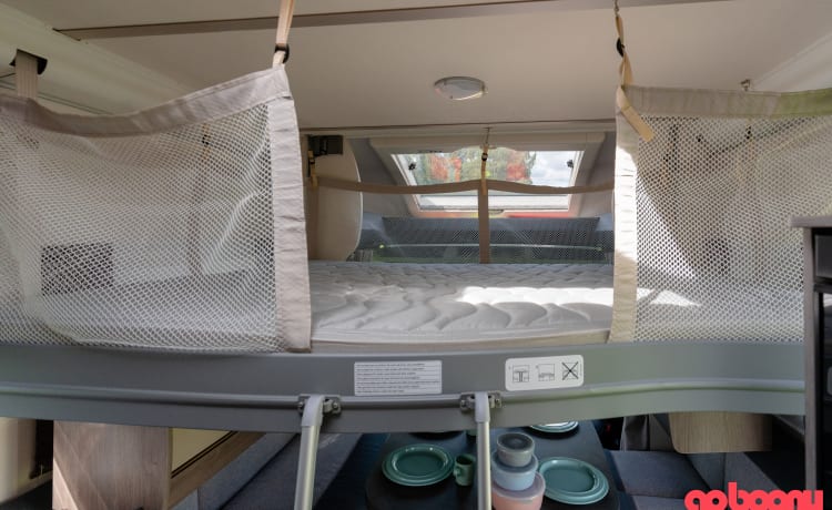 Get Your Flow Camper – Bereit für ein neues Abenteuer?