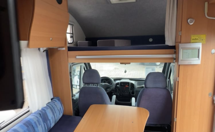 Camper familiare 4 persone