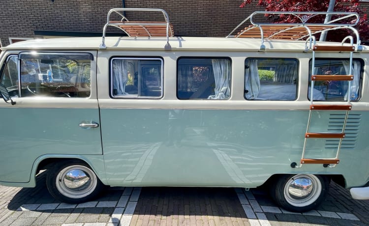 Pistache – Klassischer VW T2 Panoramabus