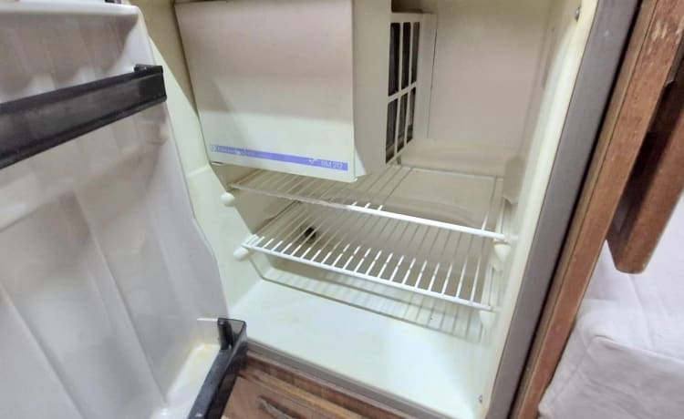 Even2 – Confortevole camper appena ristrutturato 5 posti viaggio 5 posti letto