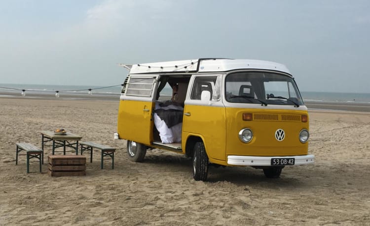 Fantastique camping-car Volkswagen T2 Westfalia