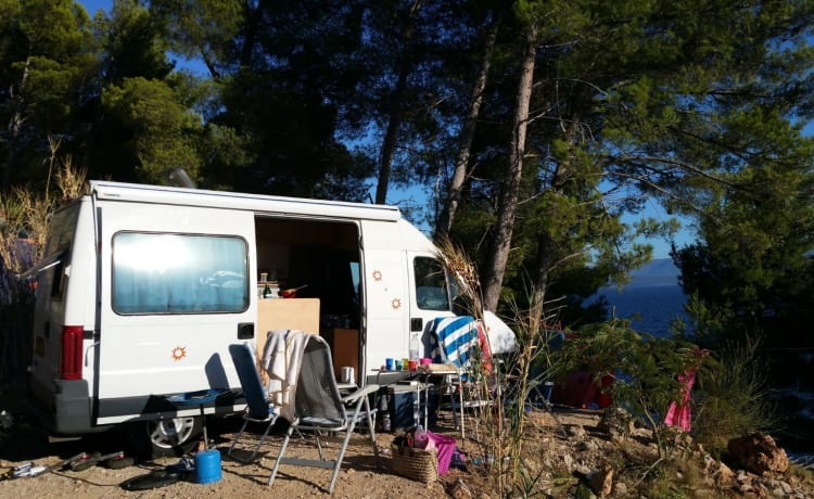 Segui il sole con questo camper bus Fiat Ducato compatto!