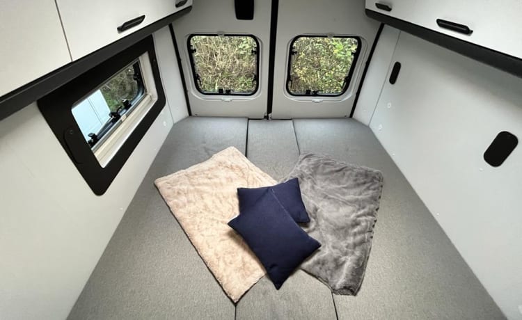 V65 SL X-tra – Camper SunLiving V65SL X-tra busje