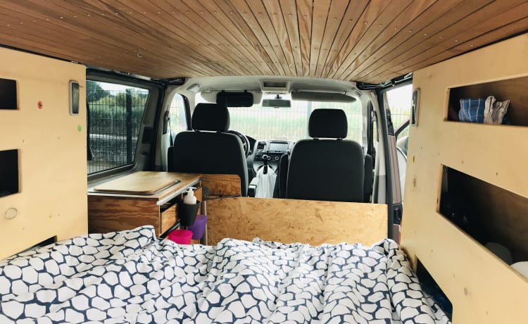 2p Volkswagen T5