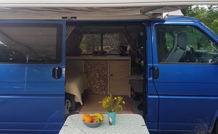 Cheerful Volkswagen camper van with lifting deck and pull-out bed for 2 people