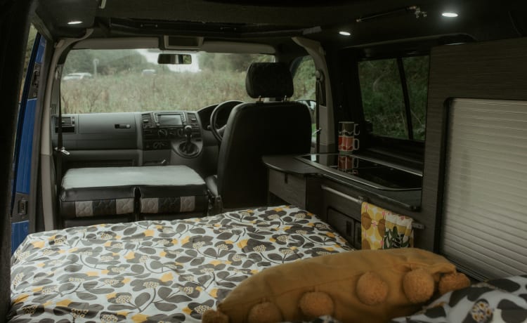 Vinnie – VW T5 Campervan Leicestershire