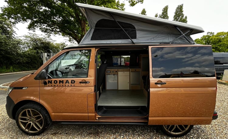 YT72KEU – 4 posti letto Volkswagen Campervan Londra - Romford