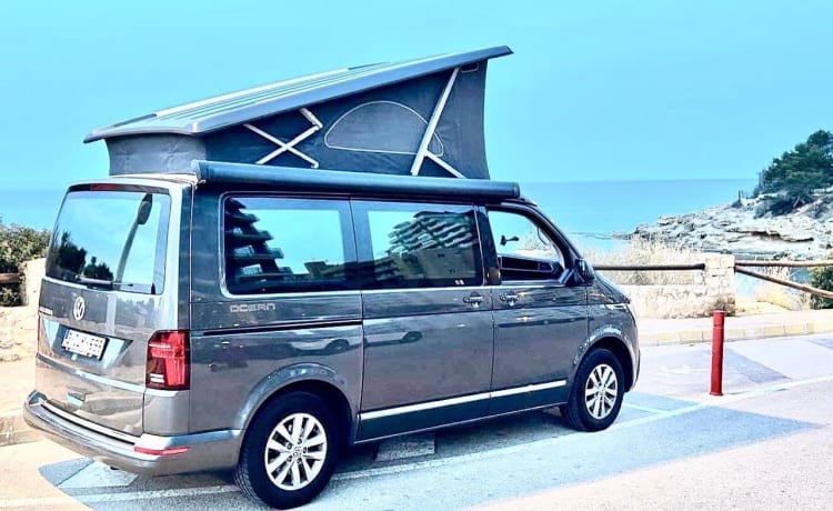 OCEAN – Volkswagen CALIFORNIA campervan uit 2022