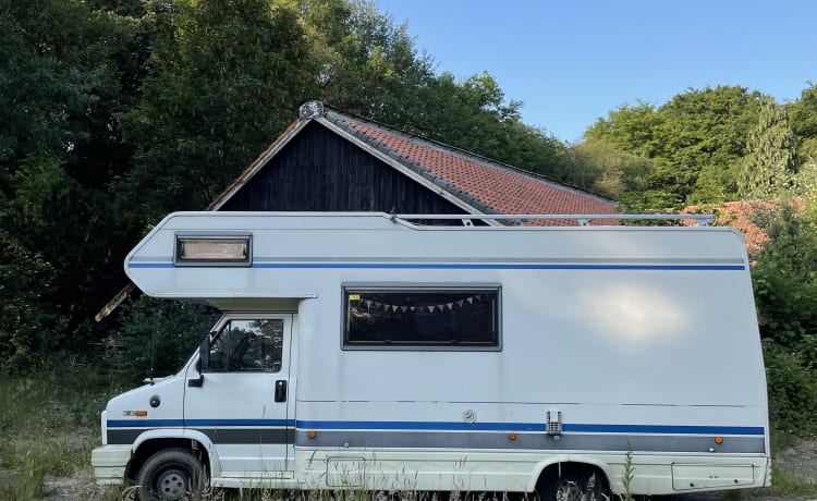 Kwakkel – Fühlen Sie sich in meinem geräumigen und gemütlichen Fiat Ducato Concorde 1990 wie zu Hause