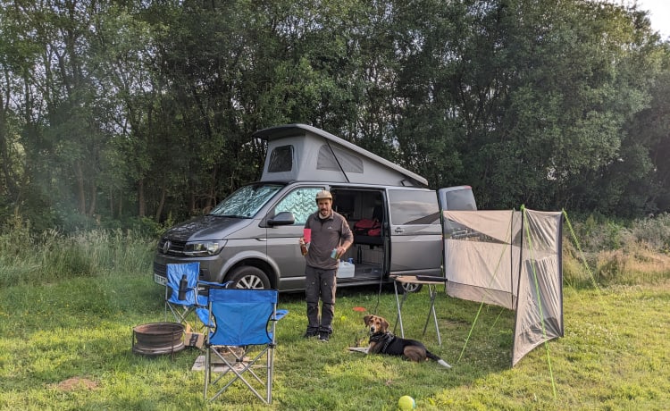 EsteVan – 4 berth Volkswagen bus from 2017