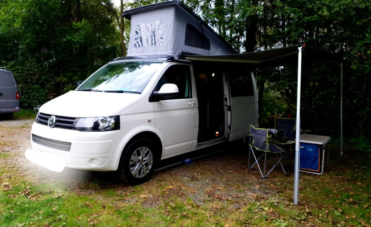 Dora – Camping-car VW récemment converti, moderne et élégant