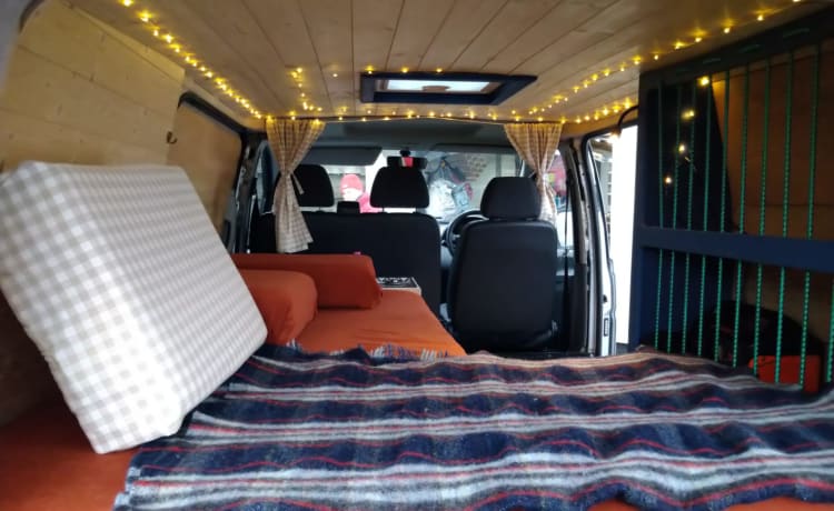 Sally – Mercedes-Benz camper met 2 slaapplaatsen uit 2006