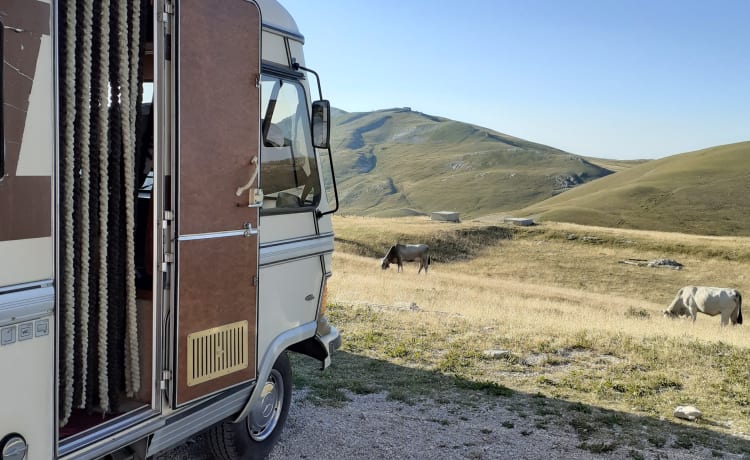 Palmiro – Hymer S660 - VINTAGE & EVENTS