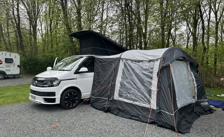 Echo – 4-persoons 2020 T6 VW Camper met hoge specificaties inc. WiFi, tv, toilet, gratis verzekering