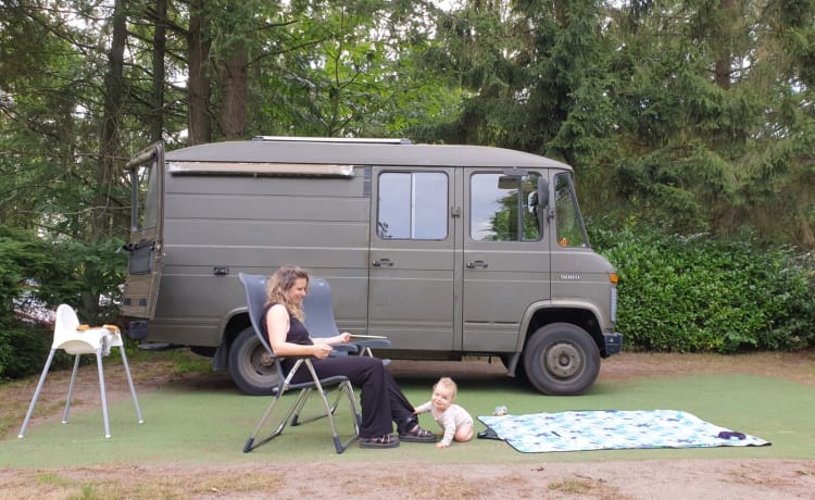 Groene Gast – Groene Gast: uniek avontuur in retrocamper!