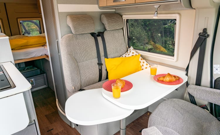 Camper bus Hymer di lusso con letti lunghi