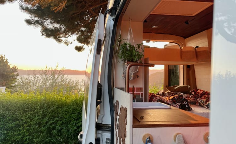 Paule – Get into your VanLife experience with our Paule!