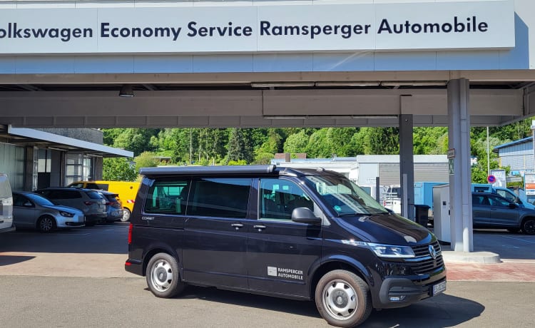 VW California 6.1 Coast Aufstelldach Kochfeld Kühlschrank Außendusche