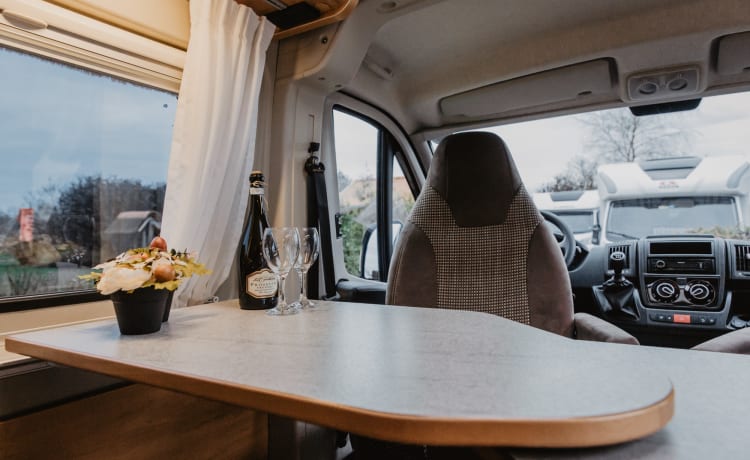 Roadcruiser – Luxury bus camper Pössl Roadcruiser (camper 20)