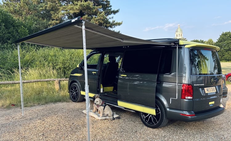 Fergus – 2021 Volkswagen Campervan T6 für 4