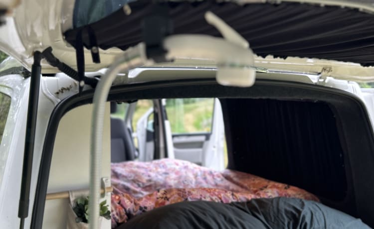 Vanny Blue – Luxuriöser und attraktiver VW-Wohnmobil Woodpecker – 4 Personen