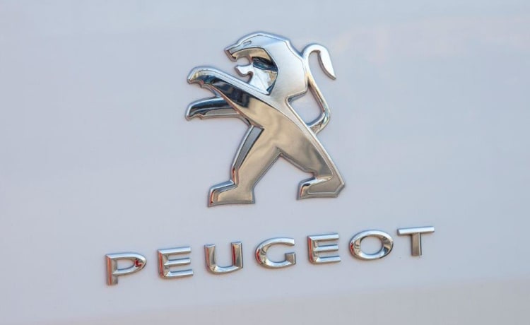 4p Peugeot bus from 2018