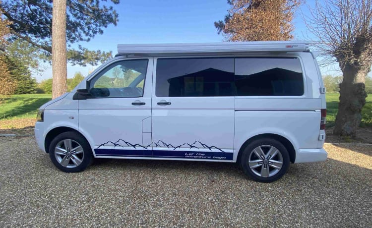 Hector – T5 VW (2012), witte pop-top