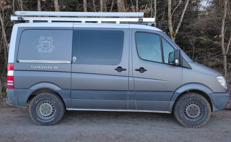 Viktor – ViktorVanVentures.de - Rent my van