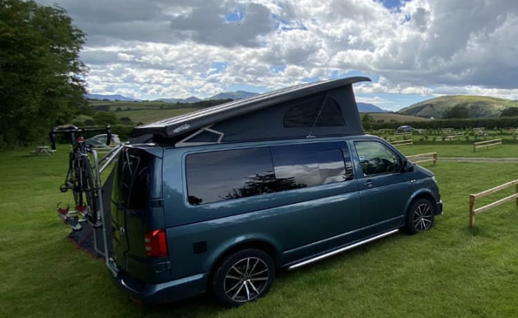 Bluey the Transporter Heeler – VW T6 Petrolblau, 4-Bett