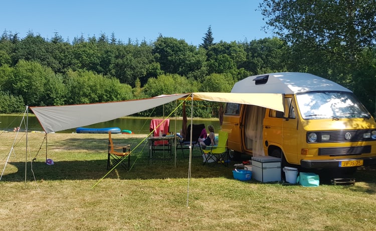 CHICO – cozy, neat, canary yellow oldtimer VW T3 for rent!