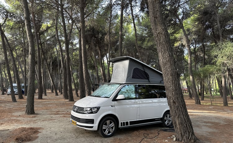 Maui – VW Transporter Camper 4p