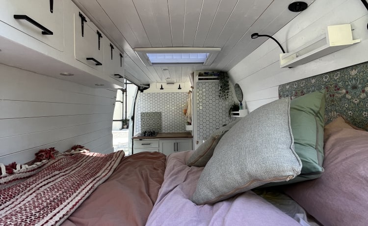 Big Bex – 2 berth Campervan