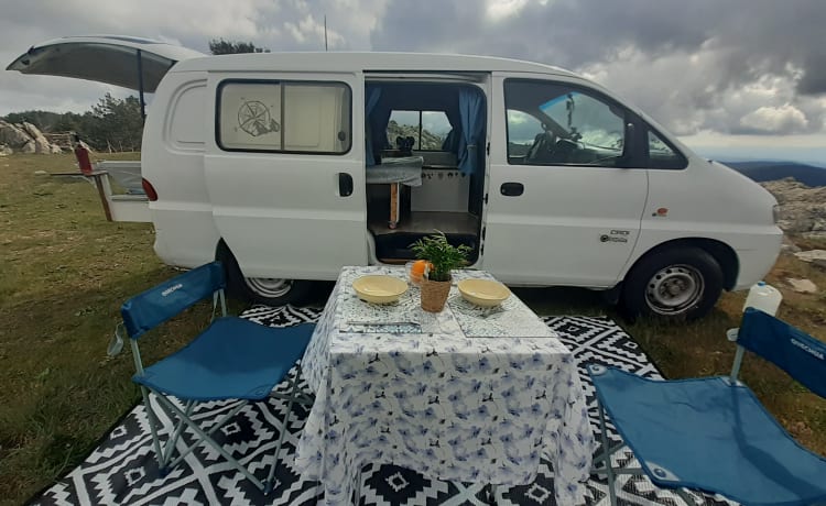 VANTASTIK RENTAL CAMPERVAN – VANTASTIK RENTAL CAMPERVAN