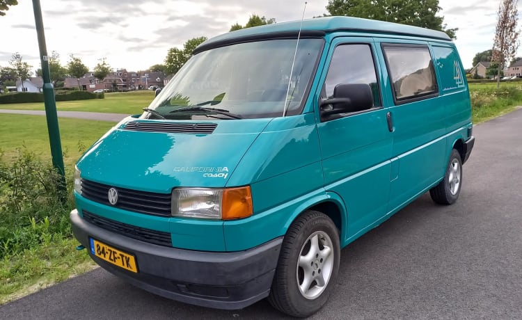 Kermit – Original Volkswagen T4 California 1994, 6 Personen, netzunabhängig