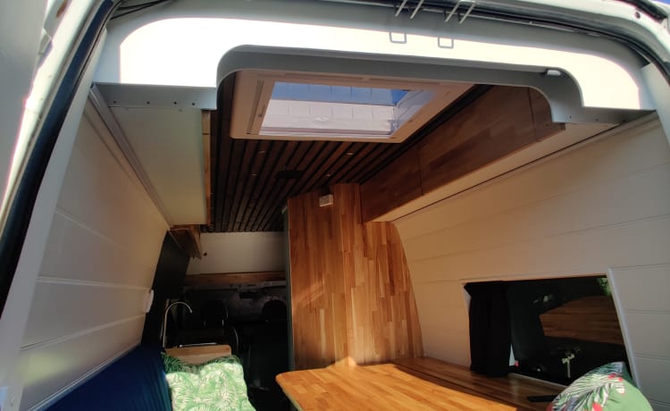 Globetrotter Vans – Super luxe Ford Campervan van alle gemakken voorzien