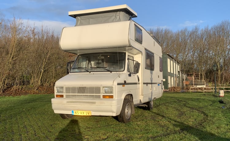 Wilma – Splendidamente sfruttato Fiat Burstner Alcove Camper, 5 pers.