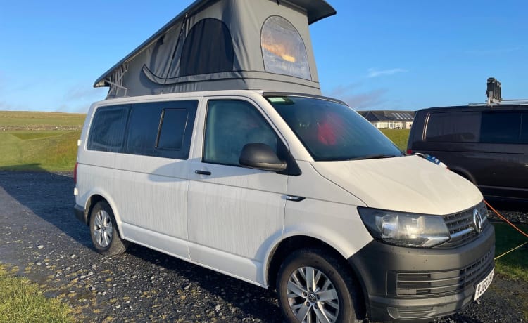 Nessy – 4-persoons Volkswagen campervan uit 2017