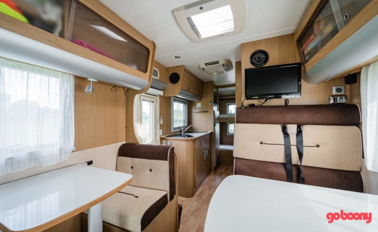 "De Koala" – Spacious kidsproof camper for the whole family (including friends!)