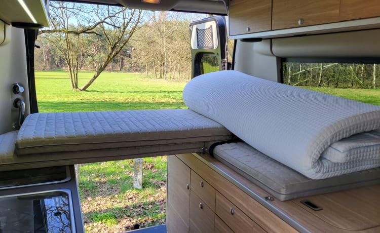 Buszz – Hymer RIo '14, 4 posti/2 camere da letto. Compatto, sorprendentemente spazioso