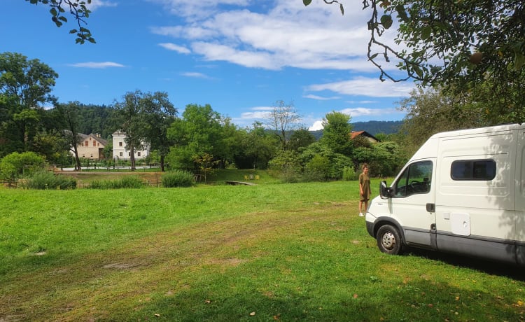 Iveco Daily