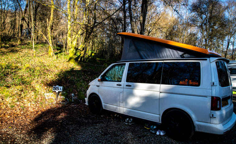 Nessie – VW T6 Wohnmobil