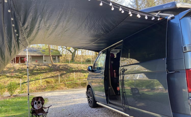 Bluey the Transporter Heeler – VW T6 Petrolblau, 4-Bett