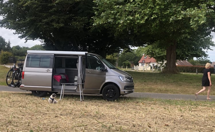 VW CALIFORNIA OCEAN