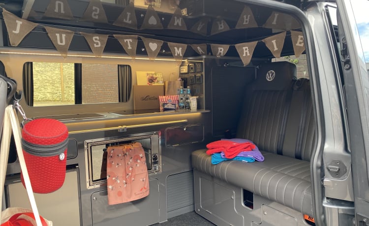 Harley – Wanneer hondvriendelijk hondvriendelijk betekent - Luxe VW T6.1 campervan