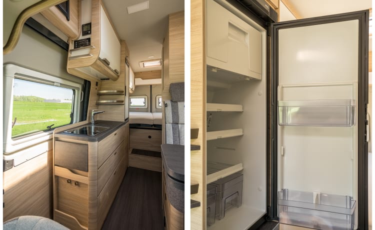 Super luxurious new spacious bus camper, for tall people, automatic