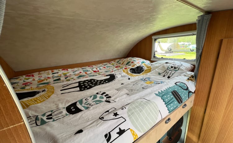 Mclouis – Ampio camper per famiglie da 6 persone