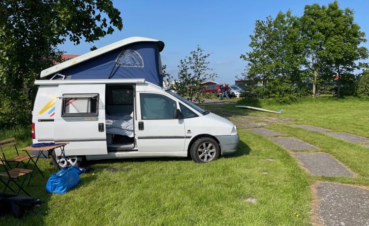 Scudo – Schöner kompakter Camper 🚐🏝