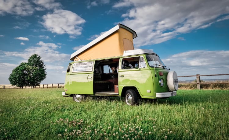 Honu Lohi – RAD-Rent a Dream - VW T2 Westfalia "Berlin" - Huur je retrodroom