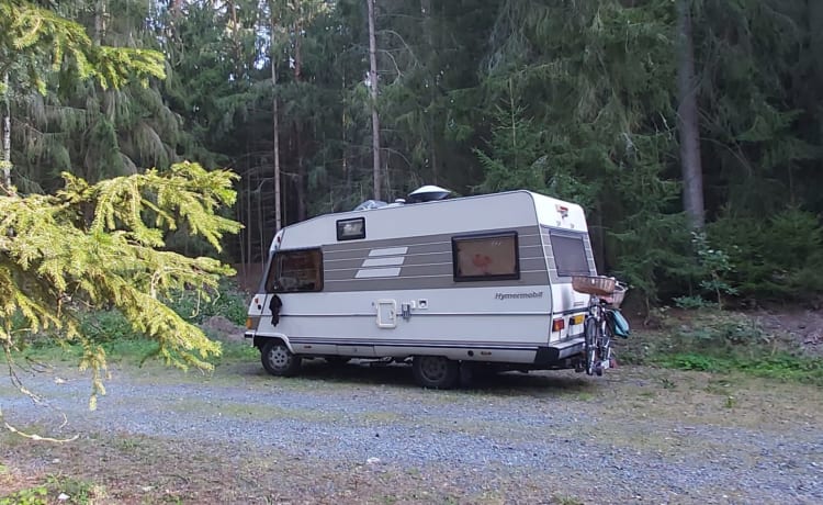 Maripose – Hymer B534 klassieker